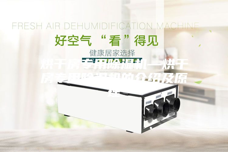 烘干房专用除湿机—烘干房专用除湿机的介绍及原理