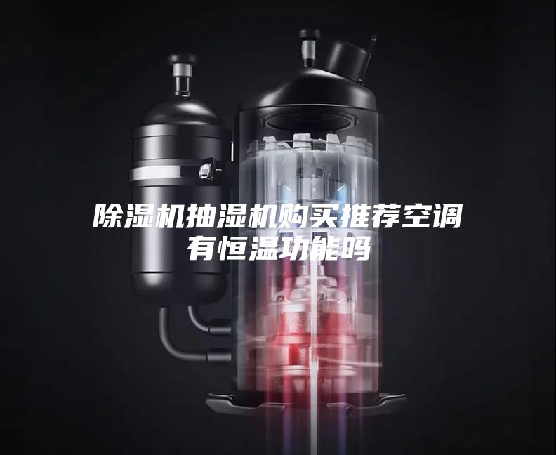 除湿机抽湿机购买推荐空调有恒温功能吗