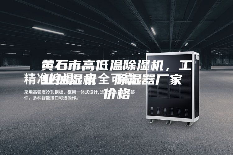 黄石市高低温除湿机，工业抽湿机  除湿器厂家 价格