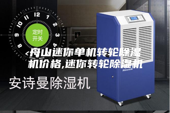 舟山迷你单机转轮除湿机价格,迷你转轮除湿机