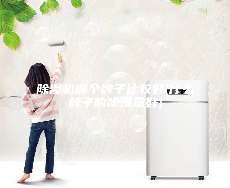 除湿机哪个牌子比较好(什么牌子的除湿盒好)