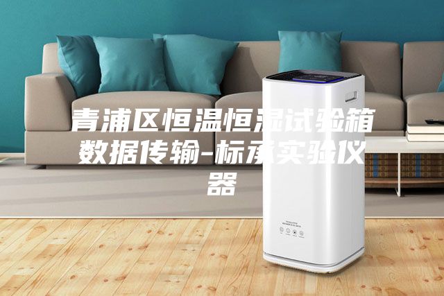 青浦区恒温恒湿试验箱数据传输-标承实验仪器