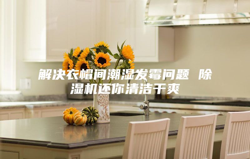 解决衣帽间潮湿发霉问题 除湿机还你清洁干爽