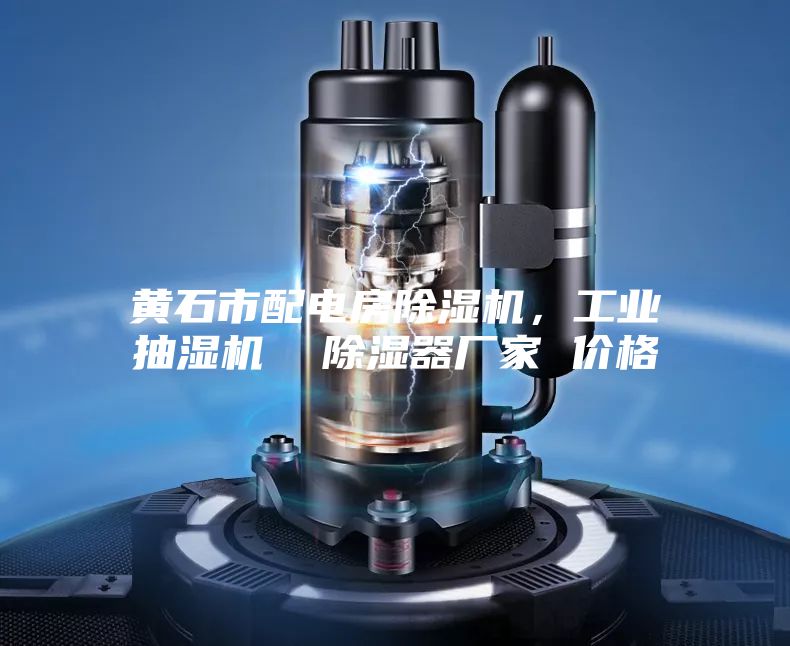 黄石市配电房除湿机，工业抽湿机  除湿器厂家 价格