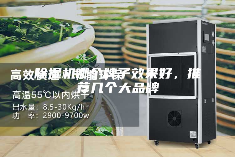 除湿机哪个牌子效果好，推荐几个大品牌