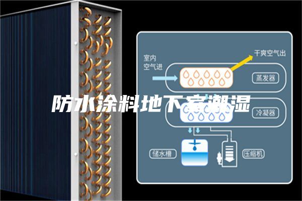 防水涂料地下室潮湿