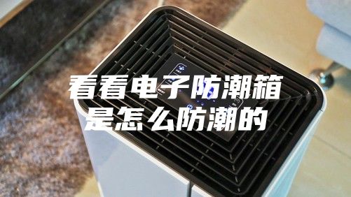 看看电子防潮箱是怎么防潮的