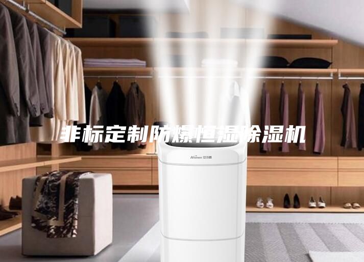 非标定制防爆恒湿除湿机