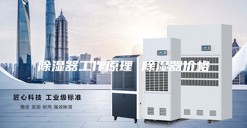 除湿器工作原理 除湿器价格