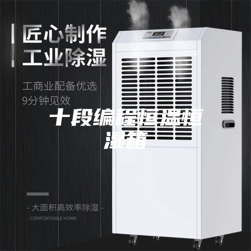 十段编程恒温恒湿箱