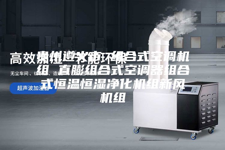 贵州遵义市 组合式空调机组 直膨组合式空调器组合式恒温恒湿净化机组新风机组