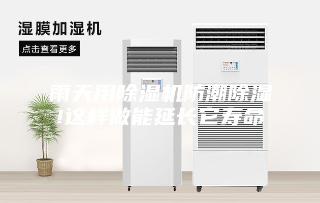 雨天用除湿机防潮除湿!这样做能延长它寿命