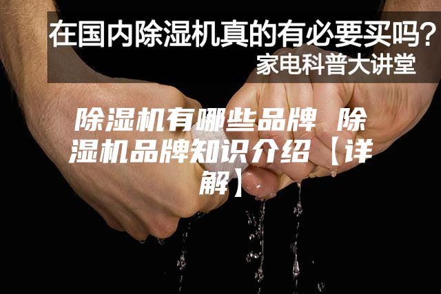 除湿机有哪些品牌 除湿机品牌知识介绍【详解】