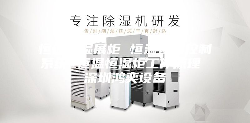 恒温恒湿展柜 恒温恒湿控制系统 恒温恒湿柜工作原理 深圳鸿奕设备