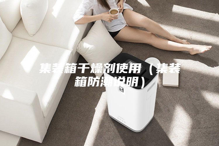 集装箱干燥剂使用（集装箱防潮说明）