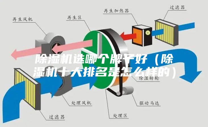 除湿机选哪个牌子好（除湿机十大排名是怎么样的）