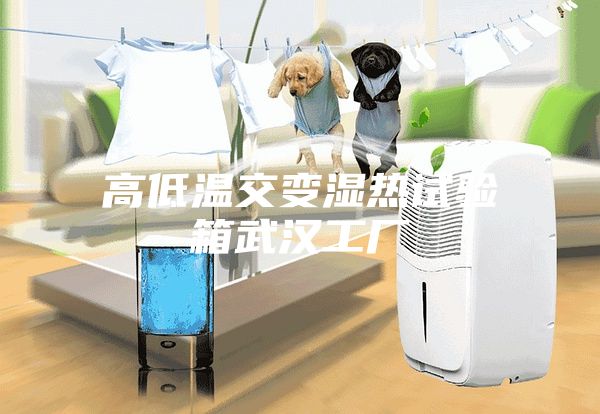 高低温交变湿热试验箱武汉工厂