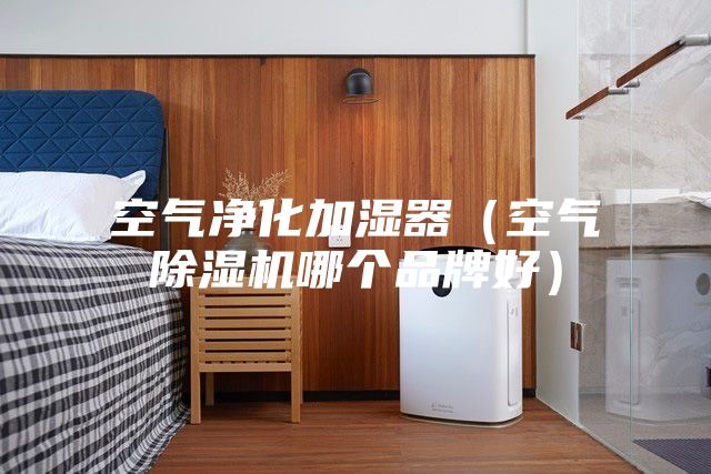 空气净化加湿器（空气除湿机哪个品牌好）