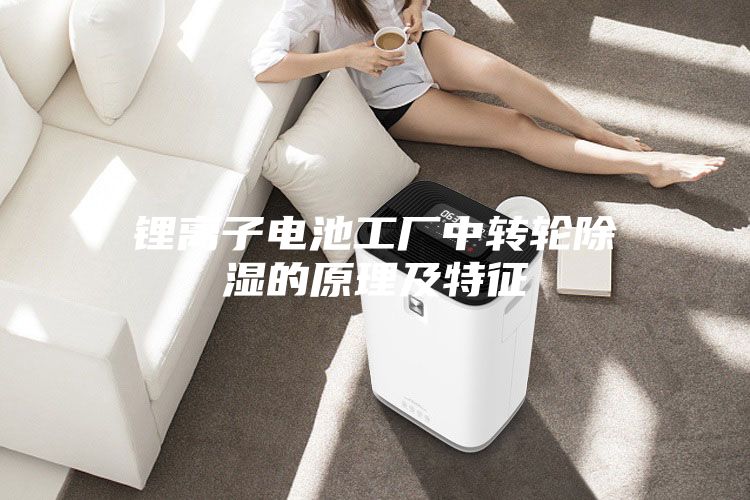 锂离子电池工厂中转轮除湿的原理及特征