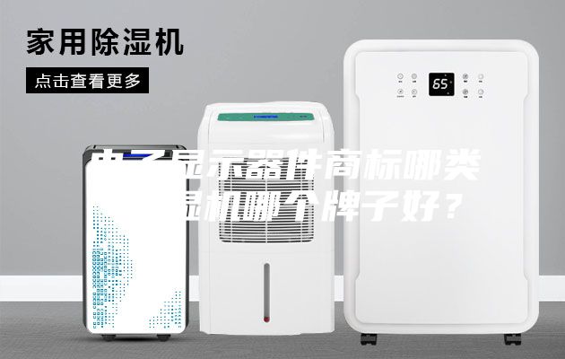 电子显示器件商标哪类-除湿机哪个牌子好？