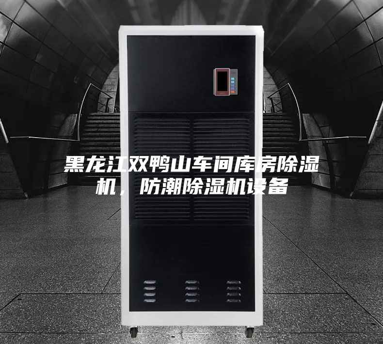 黑龙江双鸭山车间库房除湿机，防潮除湿机设备