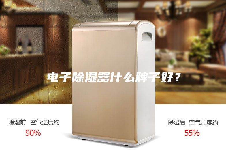 电子除湿器什么牌子好？