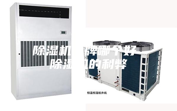 除湿机品牌哪个好 除湿机的利弊