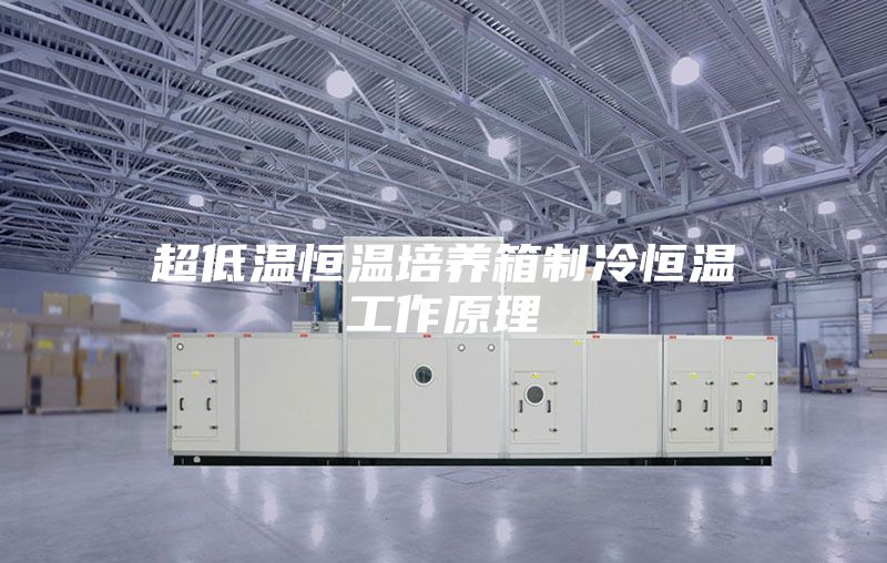 超低温恒温培养箱制冷恒温工作原理