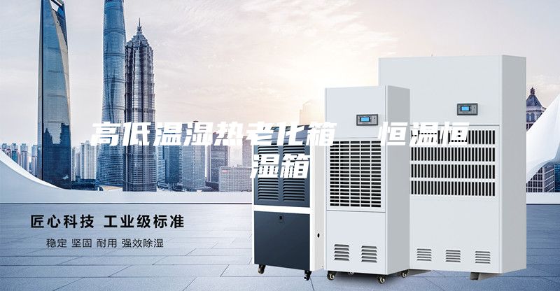 高低温湿热老化箱  恒温恒湿箱