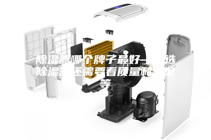 除湿器哪个牌子最好—挑选除湿器还需要看质量和类型等