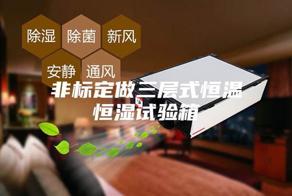 非标定做三层式恒温恒湿试验箱
