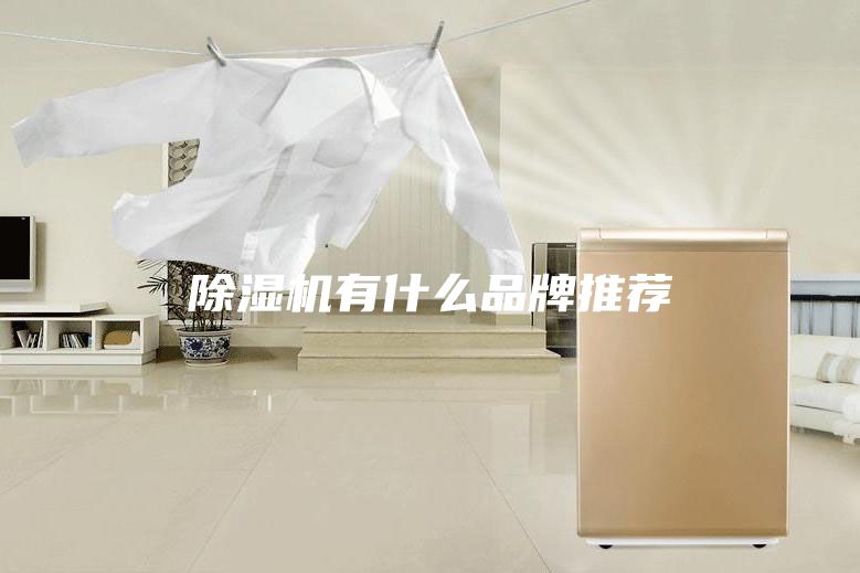 除湿机有什么品牌推荐