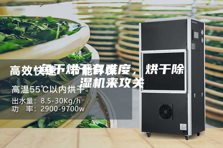 鱼干烘干有难度，烘干除湿机来攻关