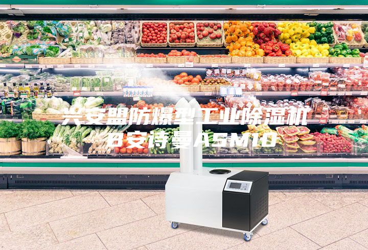兴安盟防爆型工业除湿机 B安诗曼ASM10