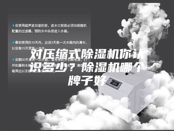 对压缩式除湿机你认识多少？除湿机哪个牌子好