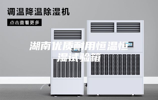 湖南优质耐用恒温恒湿试验箱