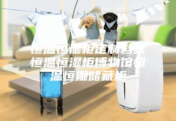 恒温恒湿柜定制档案恒温恒湿柜博物馆恒温恒湿储藏柜