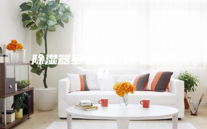 除湿器多少钱？什么牌子好