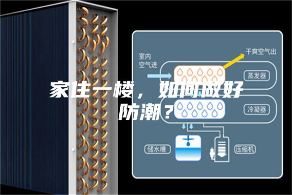 家住一楼，如何做好防潮？