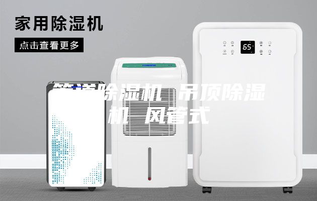 管道除湿机 吊顶除湿机 风管式
