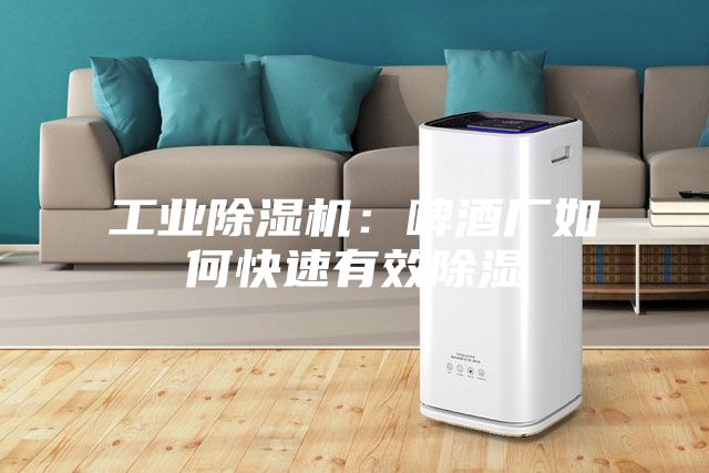 工业除湿机：啤酒厂如何快速有效除湿