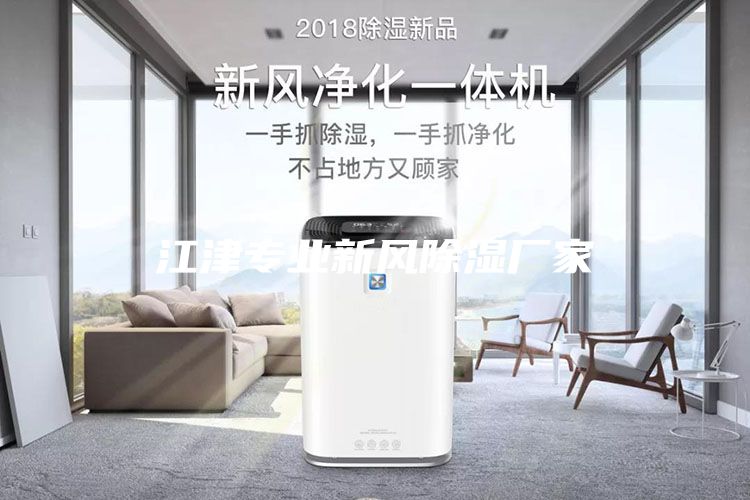 江津专业新风除湿厂家