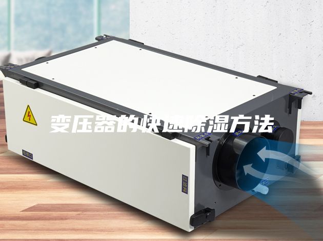 变压器的快速除湿方法