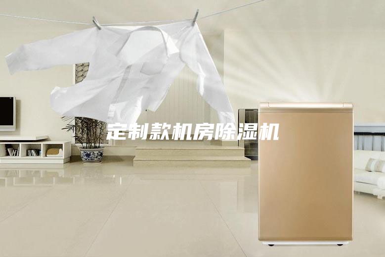 定制款机房除湿机