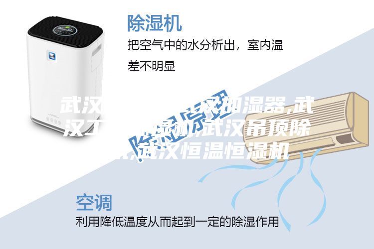 武汉除湿机,武汉加湿器,武汉工业除湿机,武汉吊顶除湿机,武汉恒温恒湿机