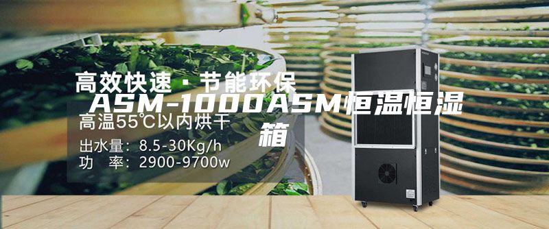 ASM-1000ASM恒温恒湿箱