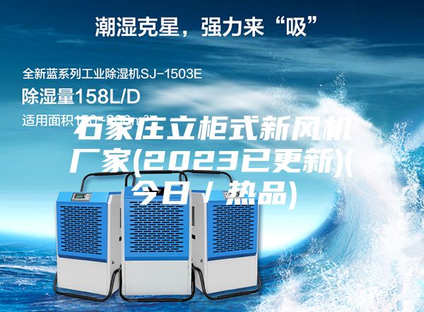 石家庄立柜式新风机厂家(2023已更新)(今日／热品)