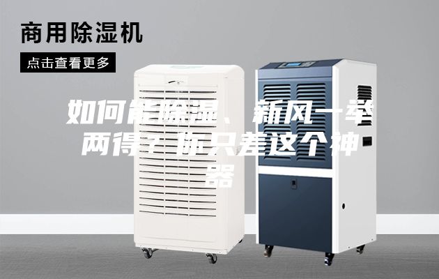 如何能除湿、新风一举两得？你只差这个神器
