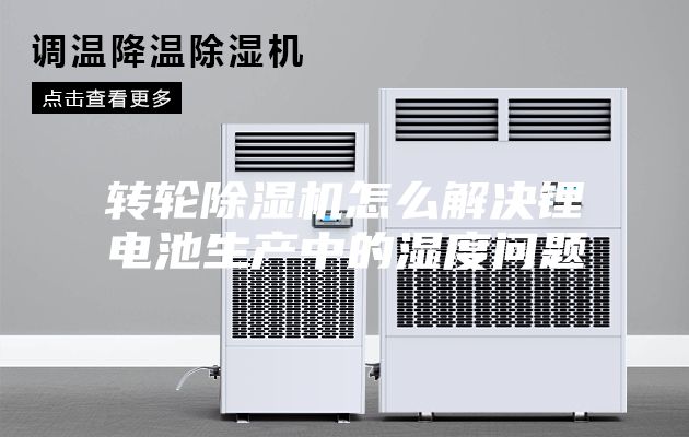 转轮除湿机怎么解决锂电池生产中的湿度问题
