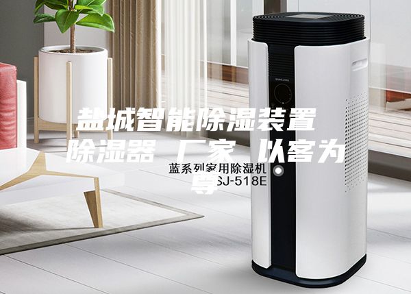 盐城智能除湿装置 除湿器 厂家 以客为尊